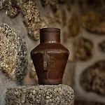 Casa De Barreiros Camélias De Basto * Lamelas (Douro Litoral)