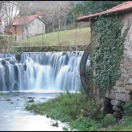 Casa De Barreiros Camélias De Basto Lamelas (Douro Litoral)