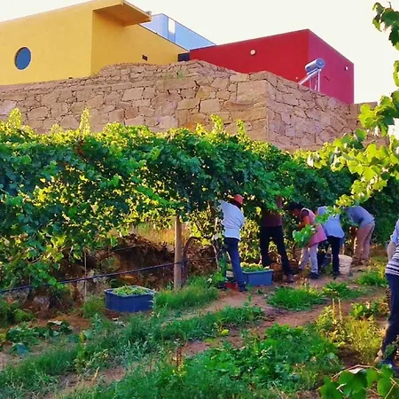 Casa De Barreiros Дом отдыха Lamelas (Douro Litoral)