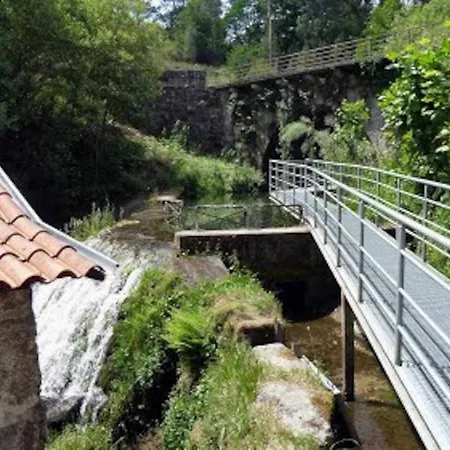 Casa De Barreiros Camelias De Basto *