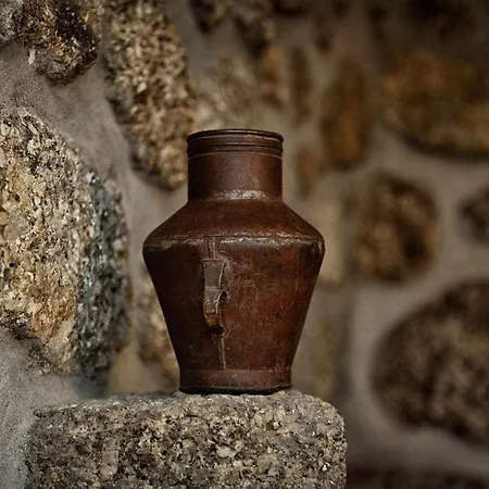 Casa De Barreiros Camelias De Basto * Lamelas