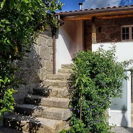 Casa De Barreiros Camelias De Basto * Lamelas (Douro Litoral)