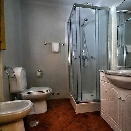 Casa De Barreiros Camelias De Basto Lamelas (Douro Litoral)