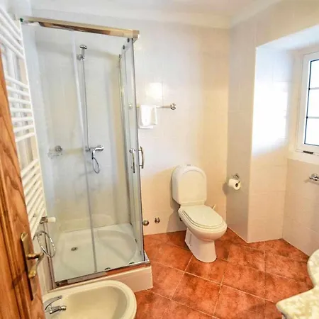 Casa De Barreiros Camelias De Basto * Lamelas (Douro Litoral)