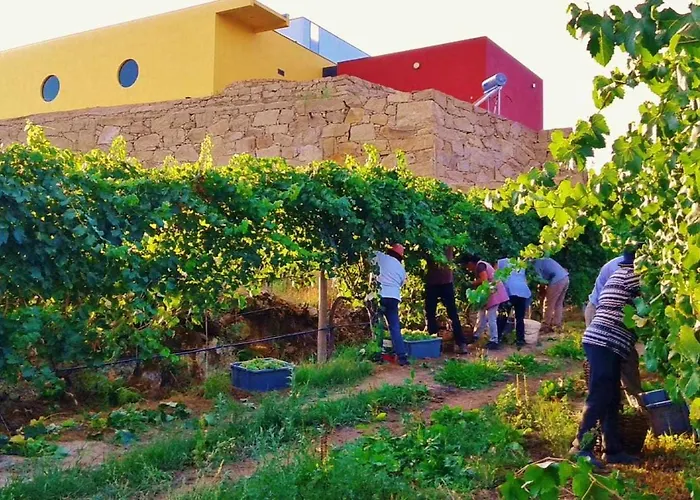Casa De Barreiros Camelias De Basto بيت للعطل Lamelas (Douro Litoral)