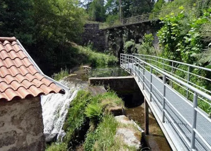 Casa De Barreiros Camelias De Basto *