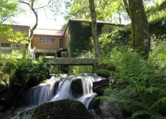 Casa De Barreiros Camelias De Basto * Lamelas (Douro Litoral)