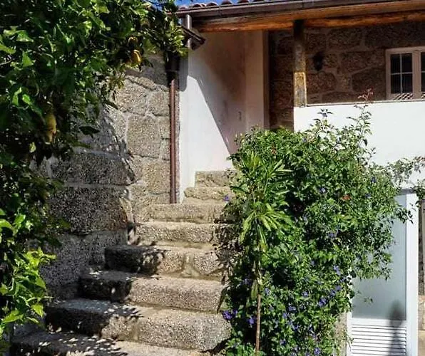 Casa De Barreiros Camelias De Basto * Lamelas (Douro Litoral)